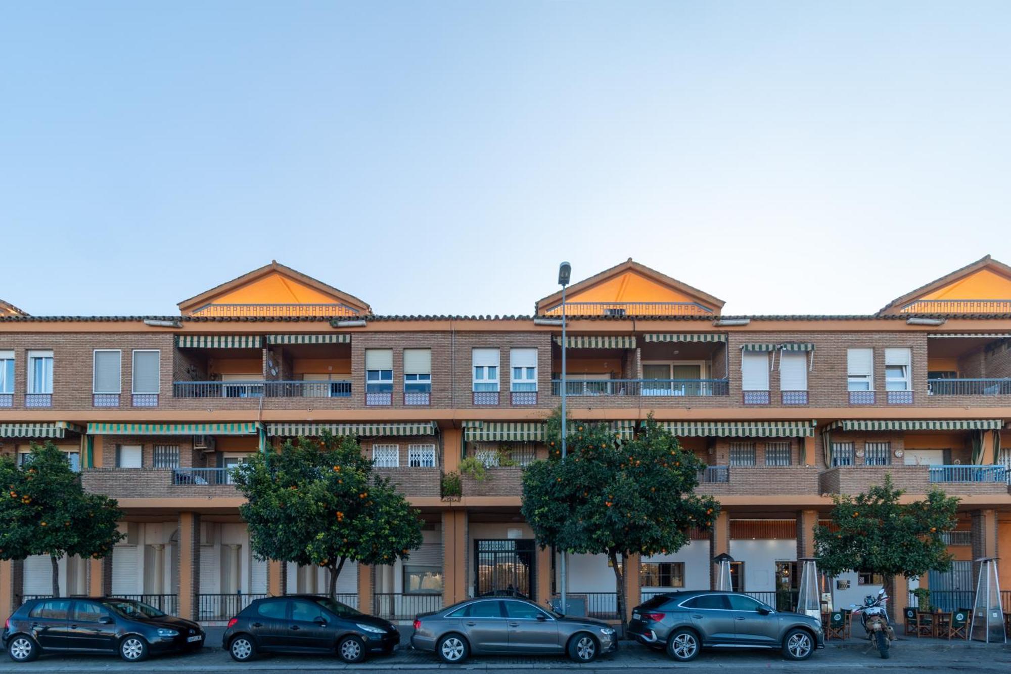 Atico Puente Romano Parking Gratuito Cordoba Exterior photo